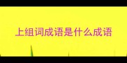 上组词成语是什么成语