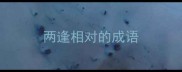 两逢相对的成语