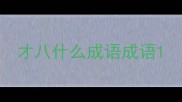 才八什么成语成语