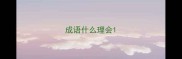成语什么理会