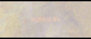 成语有轨字