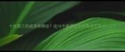 十在第三的成语有哪些这10个成语让你秒变语文高手