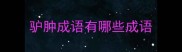 驴肿成语有哪些成语