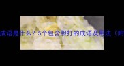 胆打一成语是什么5个包含胆打的成语及用法附例句