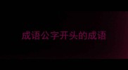 成语公字开头的成语