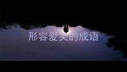 形容爱笑的成语