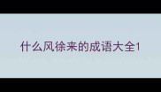 什么风徐来的成语大全