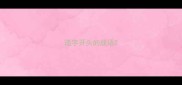 递字开头的成语