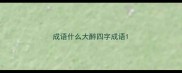 成语什么大醉四字成语