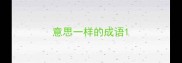 意思一样的成语