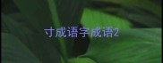寸成语字成语