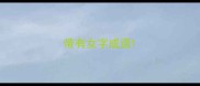 带有女字成语