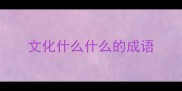 文化什么什么的成语