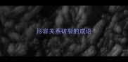 形容关系破裂的成语