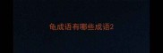 龟成语有哪些成语