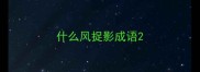 什么风捉影成语