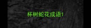 杯树蛇花成语
