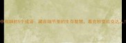 粗中有细的5个成语藏在细节里的生存智慧看完秒变社交达人