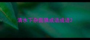 清水下杂面猜成语成语