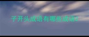 子开头成语有哪些成语