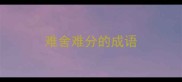 难舍难分的成语
