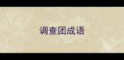 调查团成语