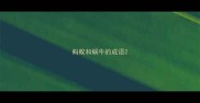 蚂蚁和蜗牛的成语