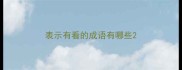 表示有看的成语有哪些