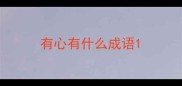 有心有什么成语