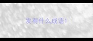 发有什么成语