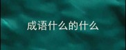 成语什么的什么