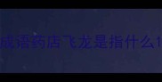 成语药店飞龙是指什么