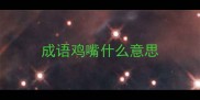 成语鸡嘴什么意思