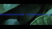 成语新解方圆规矩的职场沟通智慧如何用成语思维搞定复杂人际关系