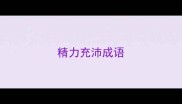 精力充沛成语