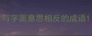 与字面意思相反的成语