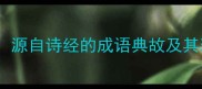 夏木可依源自诗经的成语典故及其现代应用
