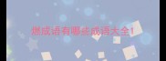燃成语有哪些成语大全