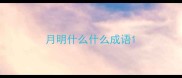 月明什么什么成语