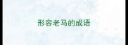 形容老马的成语