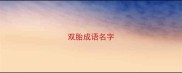 双胎成语名字