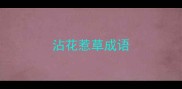 沾花惹草成语