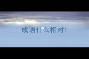 成语什么相对