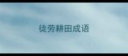 徒劳耕田成语