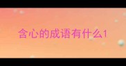 含心的成语有什么