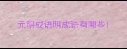 元明成语明成语有哪些