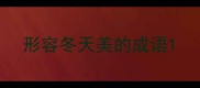 形容冬天美的成语