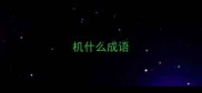 机什么成语