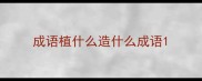 成语植什么造什么成语