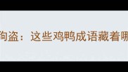 鸡飞狗跳vs鸡鸣狗盗这些鸡鸭成语藏着哪些职场生存智慧